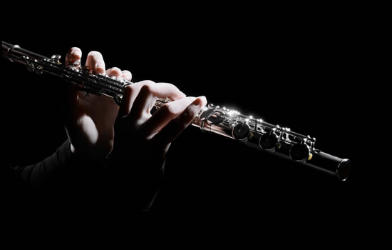 flute hands